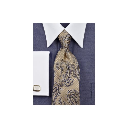 Paul Fredrick Deco Paisley Silk Tie