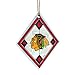 NHL Chicago Blackhawks Art Glass Ornament