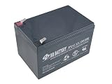 Battery Biz Hi-Capacity SLA UPS Battery for APC BackUPS 650 & BackUPS Pro 650 (RBC4)