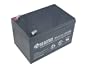 Battery Biz Hi-Capacity SLA UPS Battery for APC BackUPS 650 & BackUPS Pro 650 (RBC4)