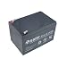 Battery Biz Hi-Capacity SLA UPS Battery for APC BackUPS 650 & BackUPS Pro 650 (RBC4)