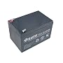 Battery Biz Hi-Capacity SLA UPS Battery for APC BackUPS 650 & BackUPS Pro 650 (RBC4)