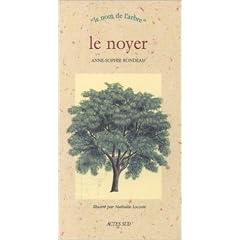 Le noyer