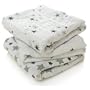 aden + anais - 7203 F - Couche Lavable - Petit Lange - Etoiles - Musy - Twinkle - Gris
