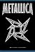 Musik (Pop) : Metallica,Ninja Logo, Fahne