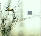 Liquid