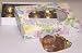 Gourmet Food : Scott's Cakes 1/2 Pound Milk Chocolate Covered Caramels in a Daisy Box
