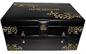 The Twilight Saga: New Moon (Limited Edition Memory Box) [DVD]