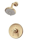 Symmons 5201-BBZ Ballina Shower Unit [並行輸入品]