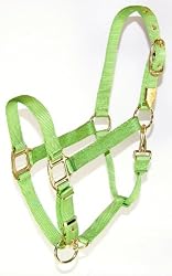 Hamilton Deluxe 1" Nylon Horse Halter with Adjustable Chin and Throat Snap, Lime Green, Yearling (300-500 lbs)