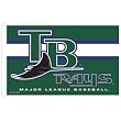 Tampa Bay Devil Rays MLB 3x5 Banner Flag (36x60) by Wincraft