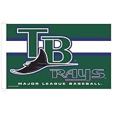Tampa Bay Devil Rays MLB 3x5 Banner Flag (36x60)