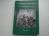 The duchess of Rio Tinto : the story of Mary Herbert and Joseph Gage