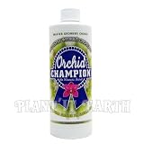 Orchid Champion - 500 ml.