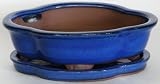 BuyBonsai's Bonsai Pot 10 Lotus Blue with Tray