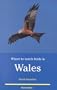 Where to Watch Birds in Wales