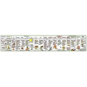 Vegetarian Nutrition Panel Poster by Liz Cook