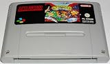 Battletoads in Battlemaniacs