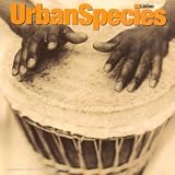 Revue Urban Species  / Listen