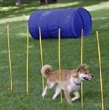 Dog Agility Starter Kit