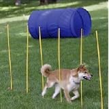 Dog Agility Starter Kit