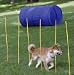 Dog Agility Starter Kit