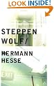 Steppenwolf (Essential Penguin)