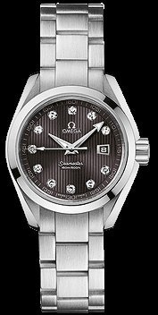 Omega Seamaster Aqua Terra Schmuck 231.10.30.61.56.001