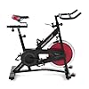 ProForm 290 SPX Indoor Cycle Trainer