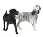 Breyer - Popular Dog Labrador & Setter Gift Set - Companion Animals