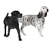 Breyer - Popular Dog Labrador & Setter Gift Set - Companion Animals