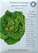 Butterhead Buttercrunch Lettuce Seeds Certified Organic 1000 Seeds