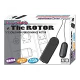 大人のプラモデル The ROTOR　色は選べません!!