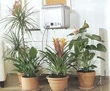 Oasis Water System - Claber