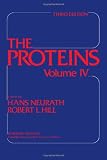 The Proteins. Vol.4