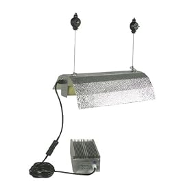 600 Watt Switchable Ballast MH HPS Grow Light Lamp Set by 