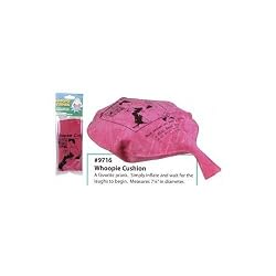 Toysmith Whoopie Cushion