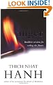 Anger : Buddhist Wisdom for Cooling the Flames