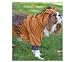 Small - Giddy-up Pony Costume
