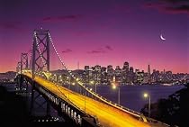 San Francisco Fluorescent Print Jigsaw Puzzle 1000pc