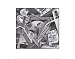 Relativity Art Poster Print by M. C. Escher, 14x11