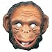 CHILD LITTLE MONKEY APE OR CHIMP HALLOWEEN MASK