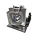 Optoma BL-FP280G Projector Housing with Genuine Original OEM Bulb