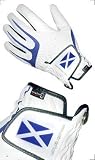 Evo Tour Men's Golf Glove - Scotland Flag - Medium - LH