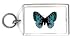 Keychain with insect, blue, flying, antennae, butterfly