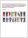 Joint shadow report to the first periodic review of Ireland under the United Nations Convention against Torture and Other Cruel, Inhuman or Degrading Treatment or Punishment