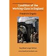 Dettagli prodotto