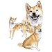 Shiba Inu Night Light