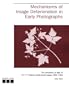 Mechanisms of Image Deterioration in Early Photographs