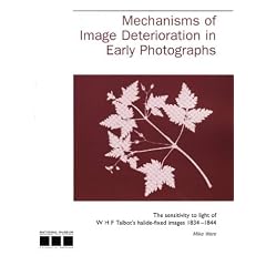 Mechanisms of Image Deterioration in Early Photographs
